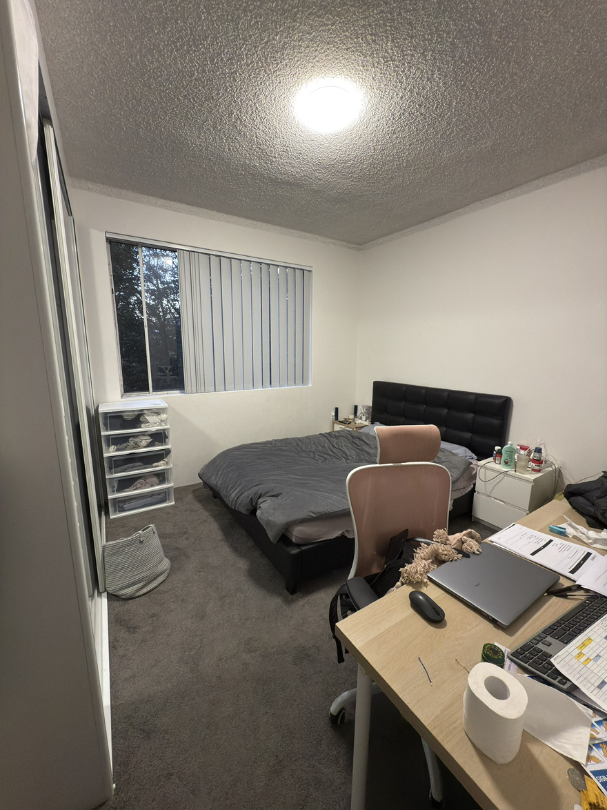 今日悉尼Wolli Creek 悉尼wolli creek出租大单间短租 Wolli Creek 悉尼wolli creek出租大单间短租