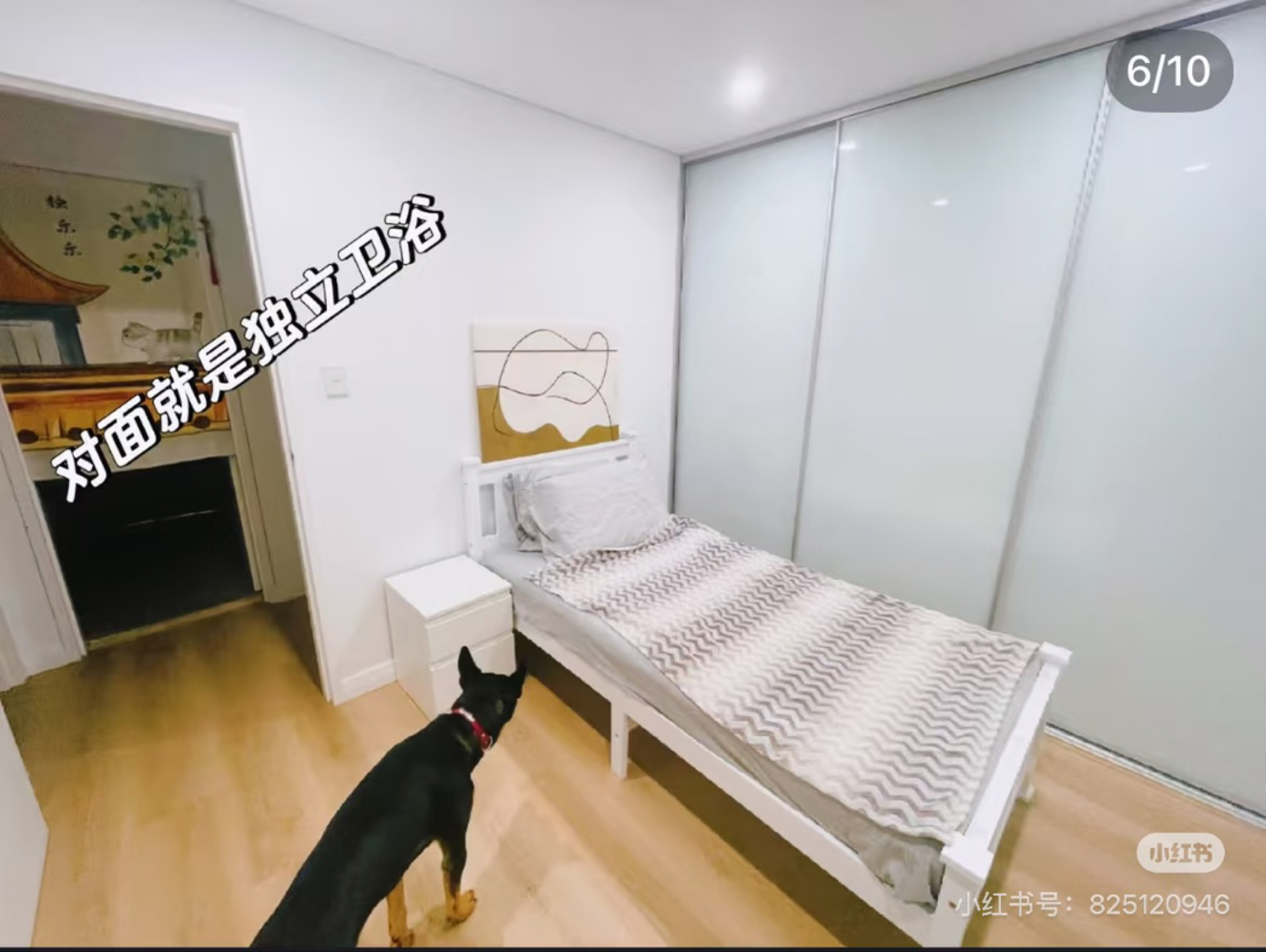 今日悉尼Parramatta 独立卫浴 拎包入住 仅限女生 Parramatta 独立卫浴 拎包入住 仅限女生