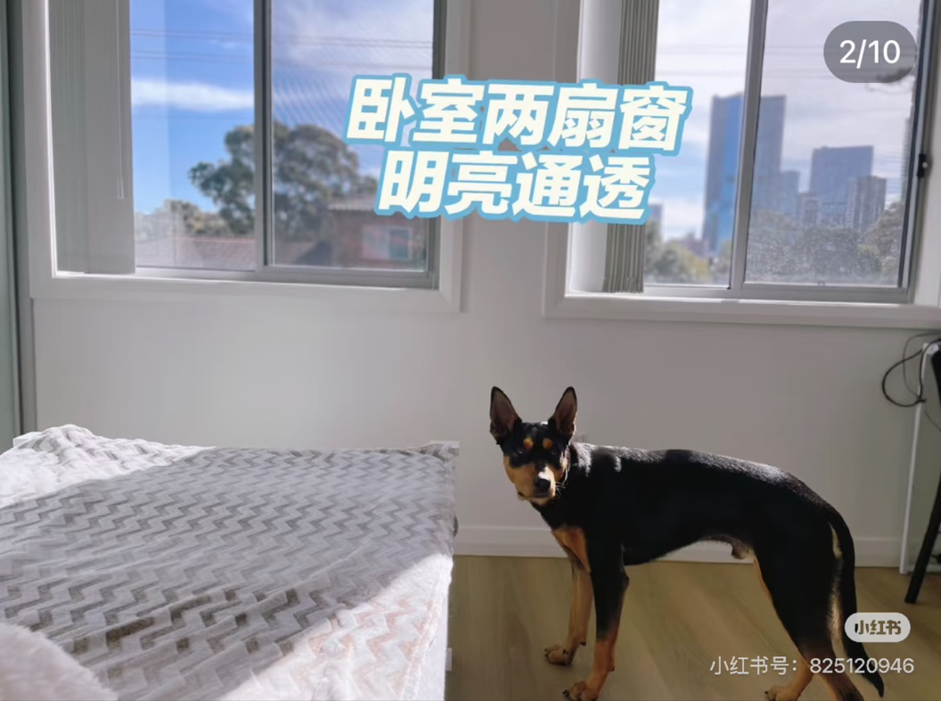 今日悉尼Parramatta 独立卫浴 拎包入住 仅限女生 Parramatta 独立卫浴 拎包入住 仅限女生
