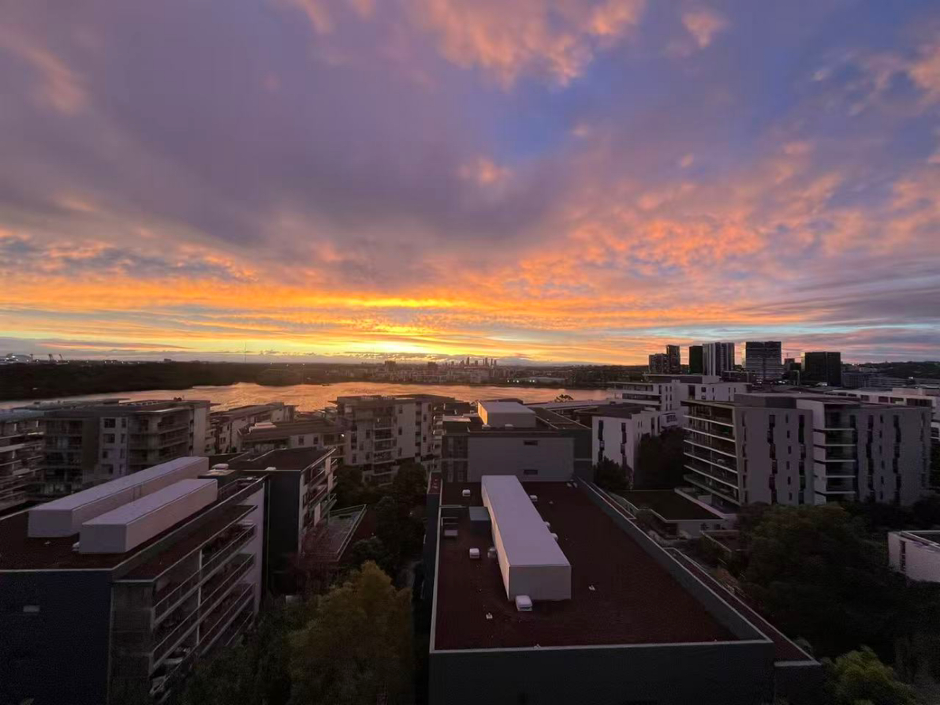 今日悉尼Rhodes 高层水景超大主卧转租 Rhodes 高层水景超大主卧转租