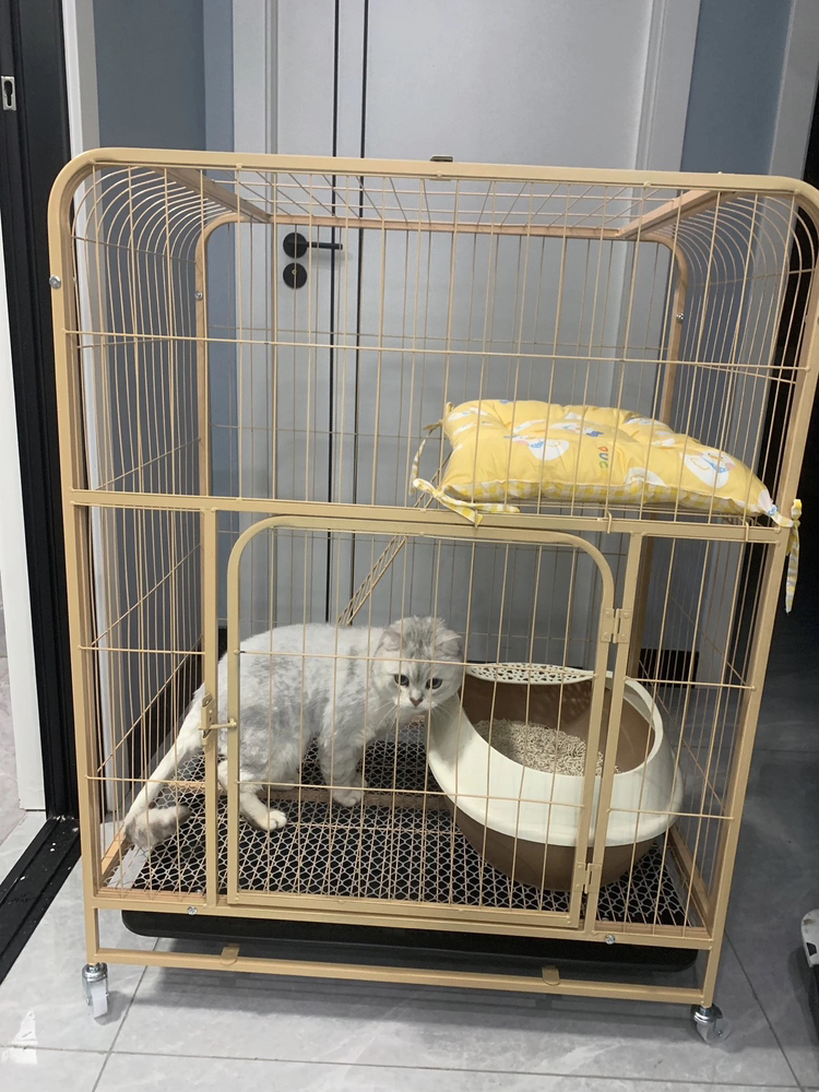 今日珀斯猫笼子家用室内猫咪别墅小户型不占地猫窝厕所防外溅猫厕一体猫笼 猫笼子家用室内猫咪别墅小户型不占地猫窝厕所防外溅猫厕一体猫笼