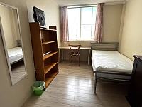 Burwood Belmore St  单人房出租  现在可以入住