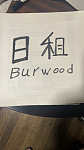 Burwood 一大一间阳光大房每天60