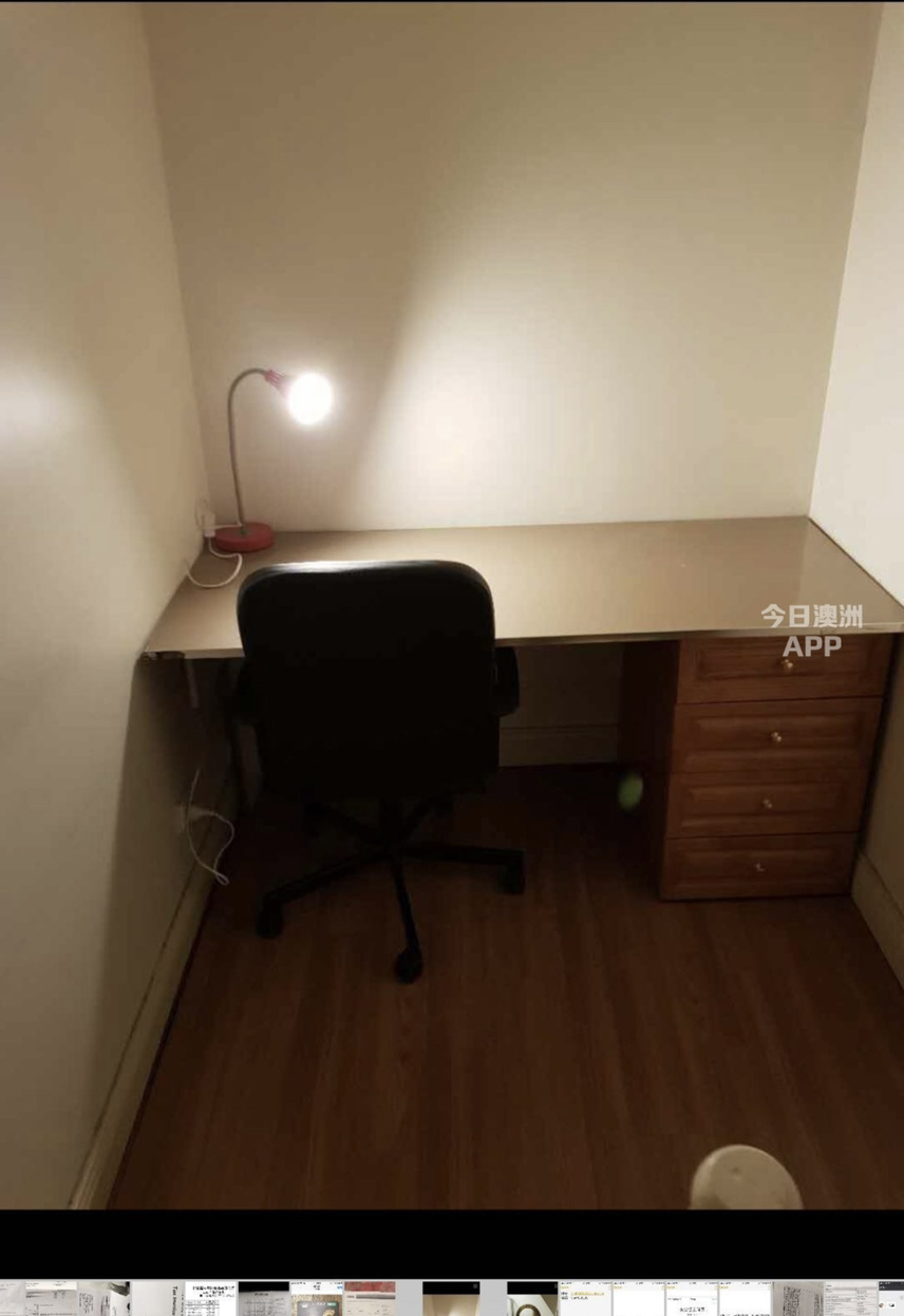 今日悉尼Annandale 近悉尼大学复式Studio出租 Annandale 近悉尼大学复式Studio出租