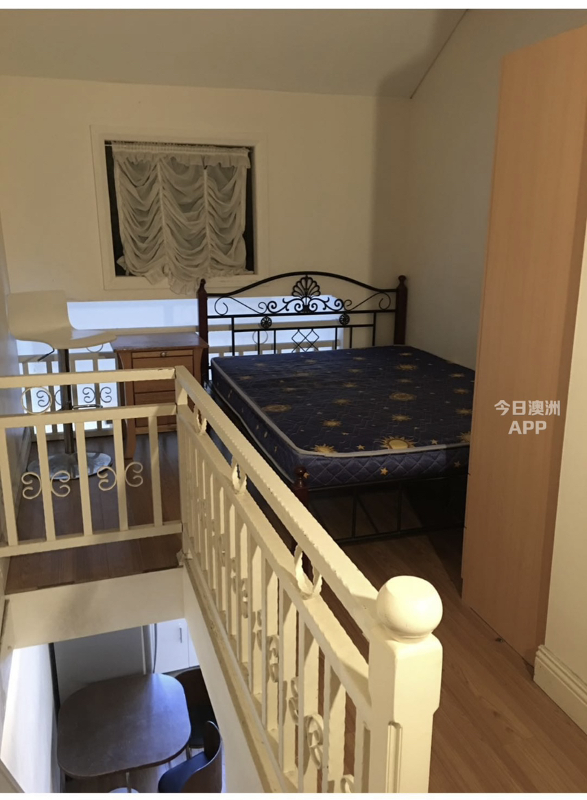 今日悉尼Annandale 近悉尼大学复式Studio出租 Annandale 近悉尼大学复式Studio出租
