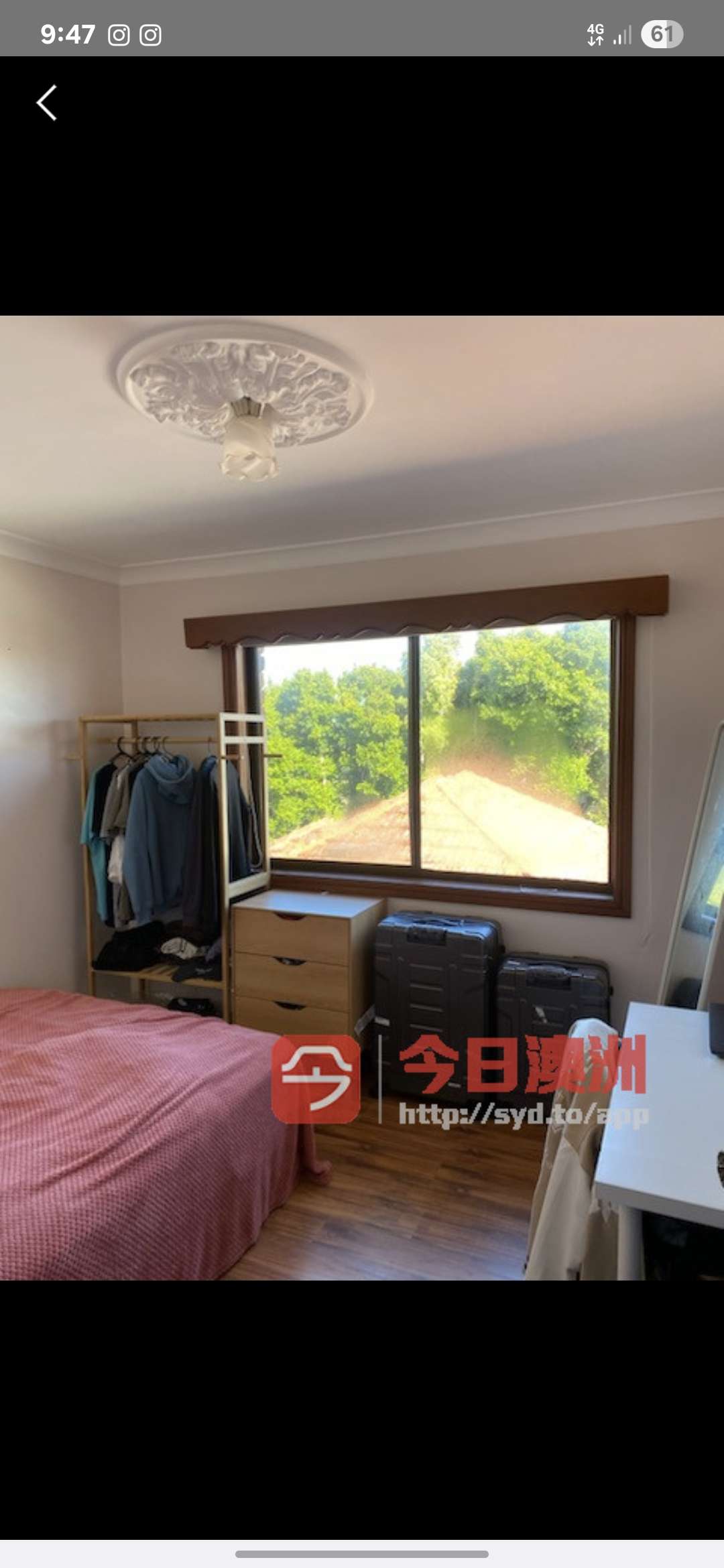 今日悉尼Mortdale hurstville mortdale 招租 Mortdale hurstville mortdale 招租