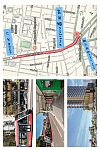 Kingsford UNSW步行 核心 紧邻Scape