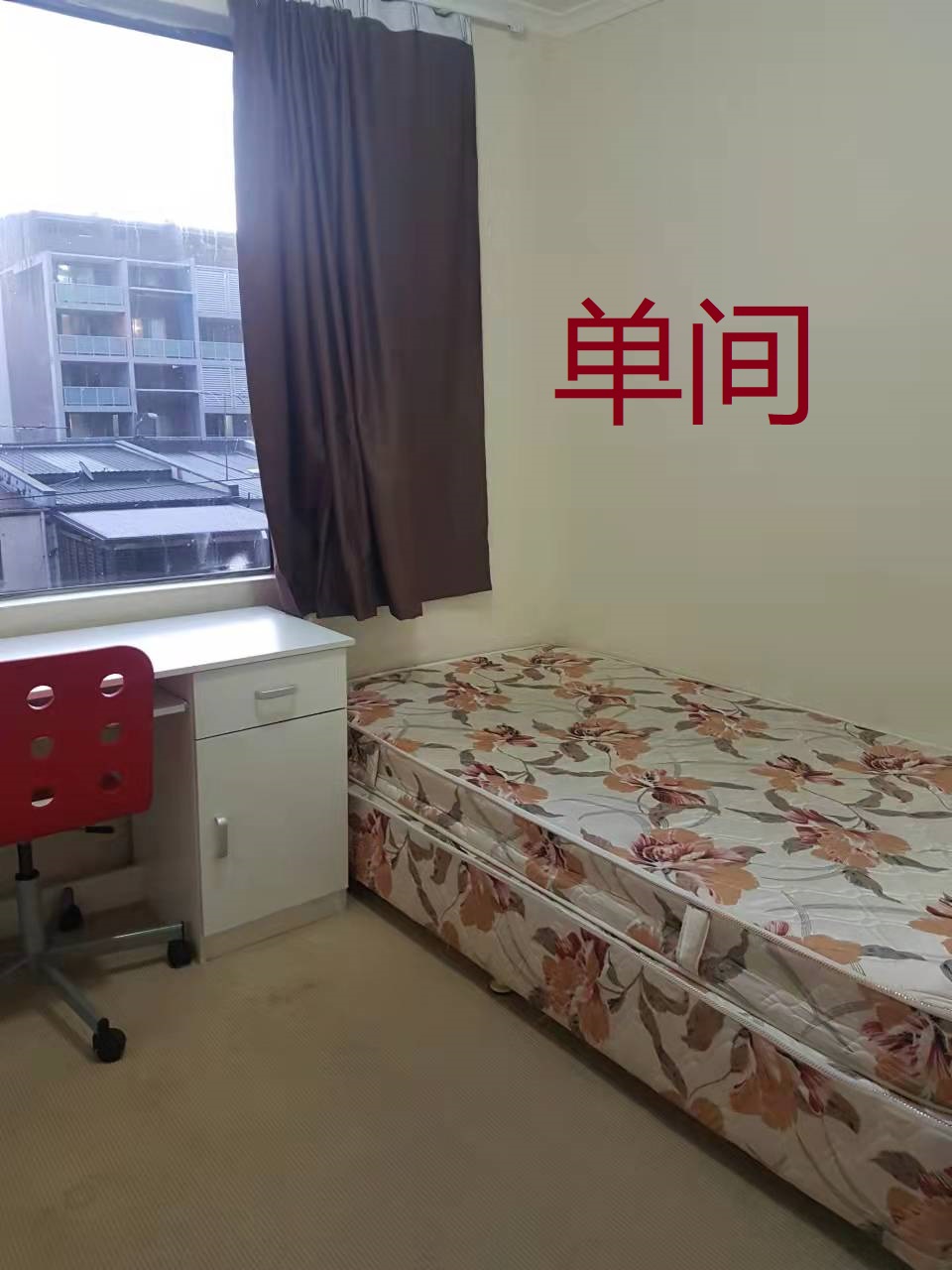 今日悉尼Ultimo 单间 10分钟到学校中央车站购物 包bill 420pw Ultimo 单间 10分钟到学校中央车站购物 包bill 420pw