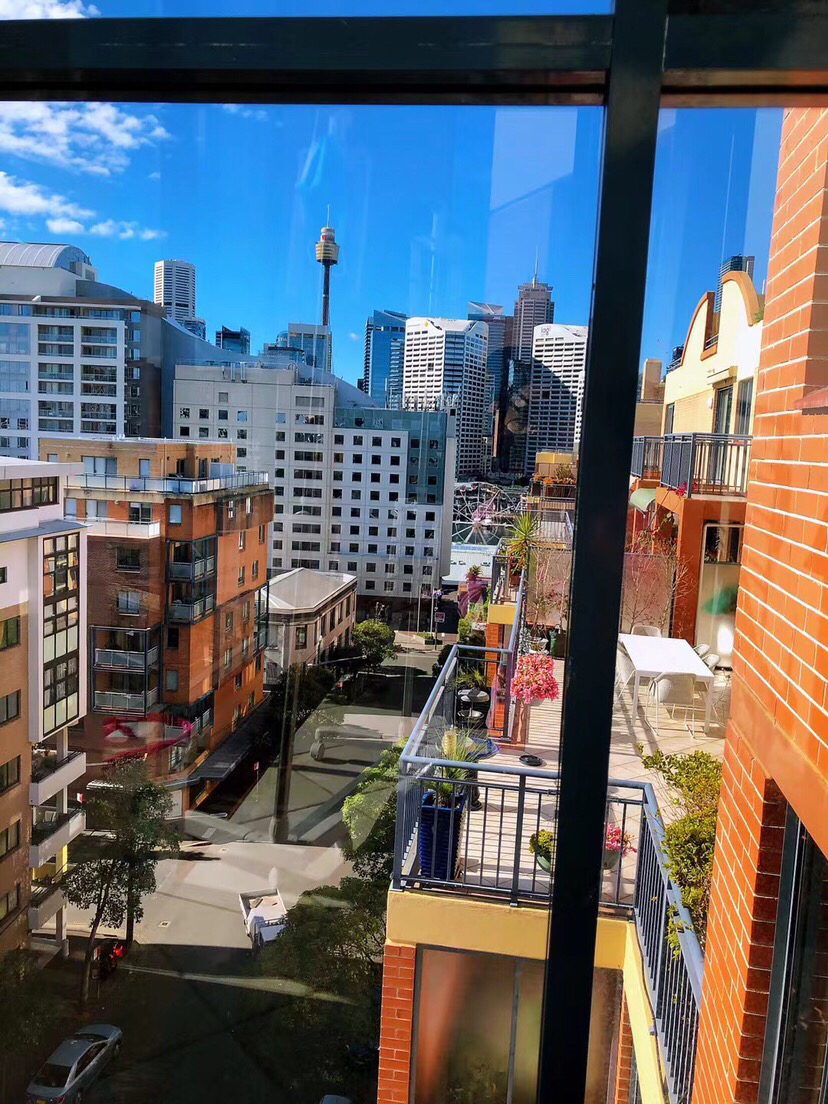 今日悉尼Pyrmont 悉尼city阳光房220周 Pyrmont 悉尼city阳光房220周