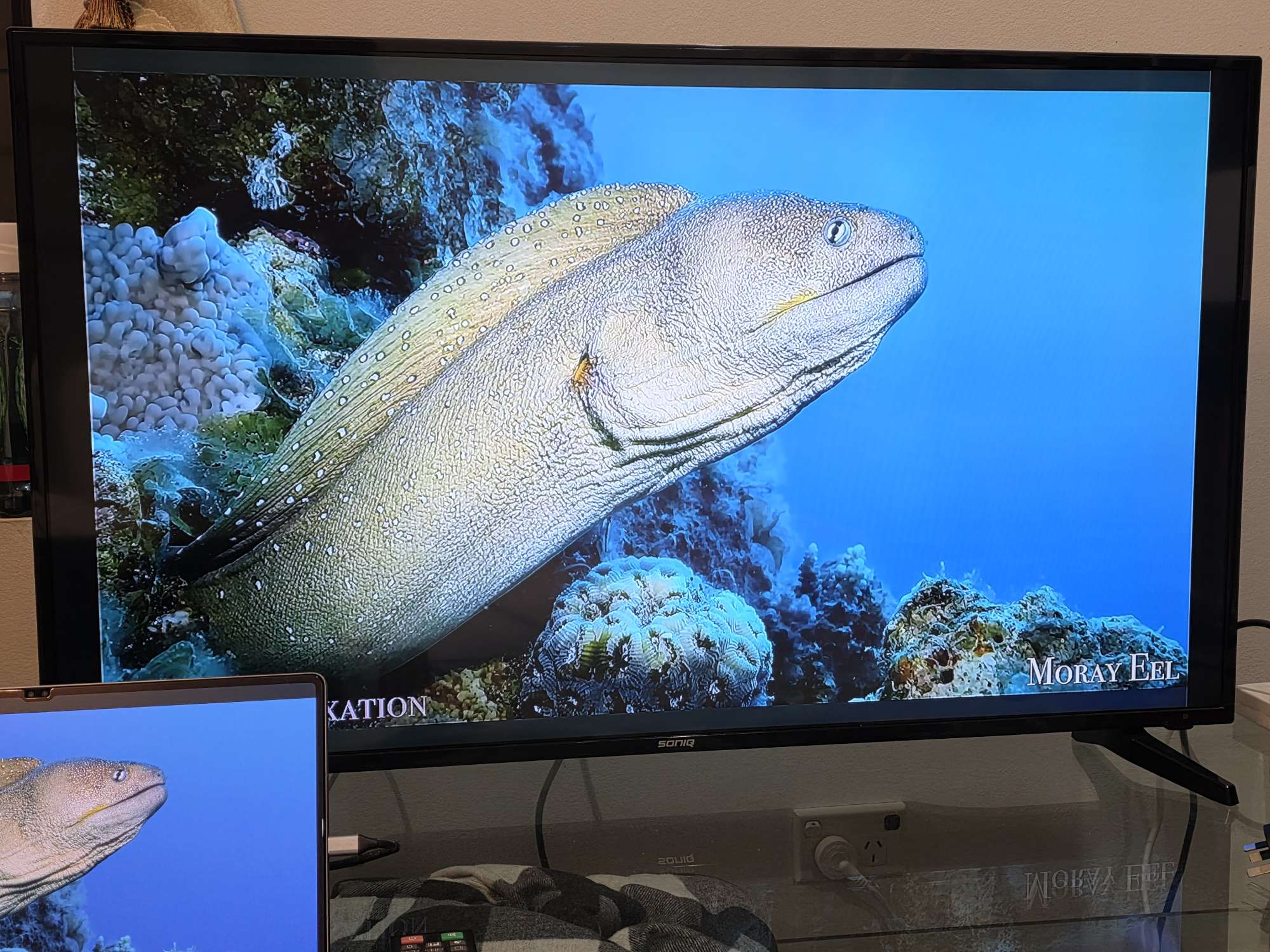 今日珀斯43寸电视机 急卖 170出售 Auburn 43寸电视机 急卖 170出售 Auburn