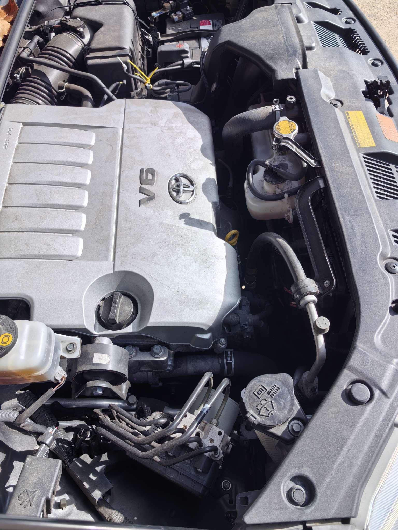今日悉尼悉尼忍痛出售才开一年的爱车 悉尼忍痛出售才开一年的爱车