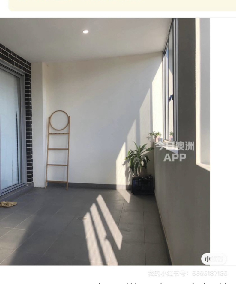 今日珀斯Kingsgrove 超大豪华主人套房封闭式阳台 Kingsgrove 超大豪华主人套房封闭式阳台