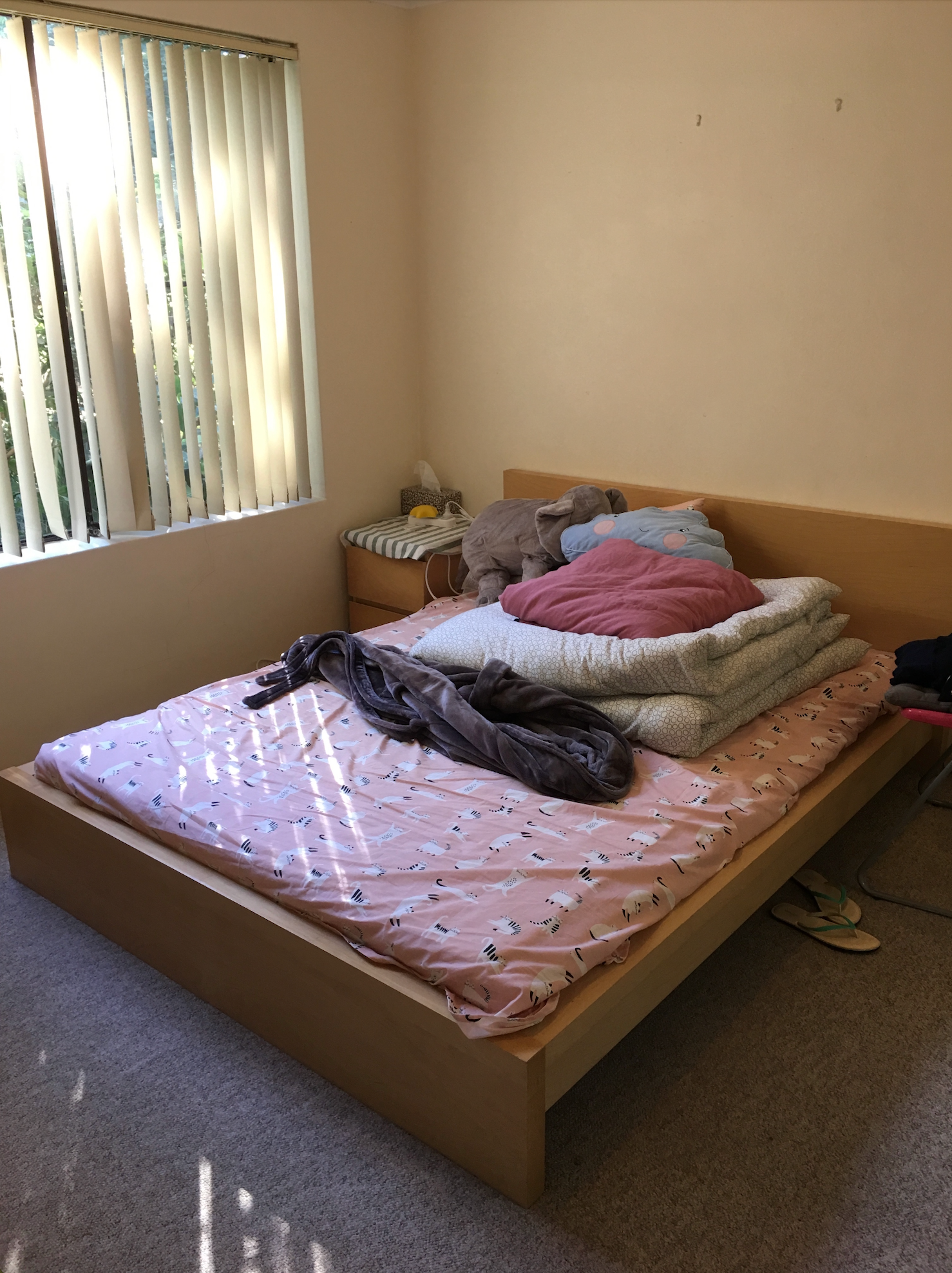 今日珀斯Marsfield 靓房招租大房间麦考瑞大学学生公寓对面全包随时入住 Marsfield 靓房招租大房间麦考瑞大学学生公寓对面全包随时入住