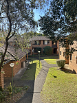 Strathfield 房间出租招单身爱干净少煮男女