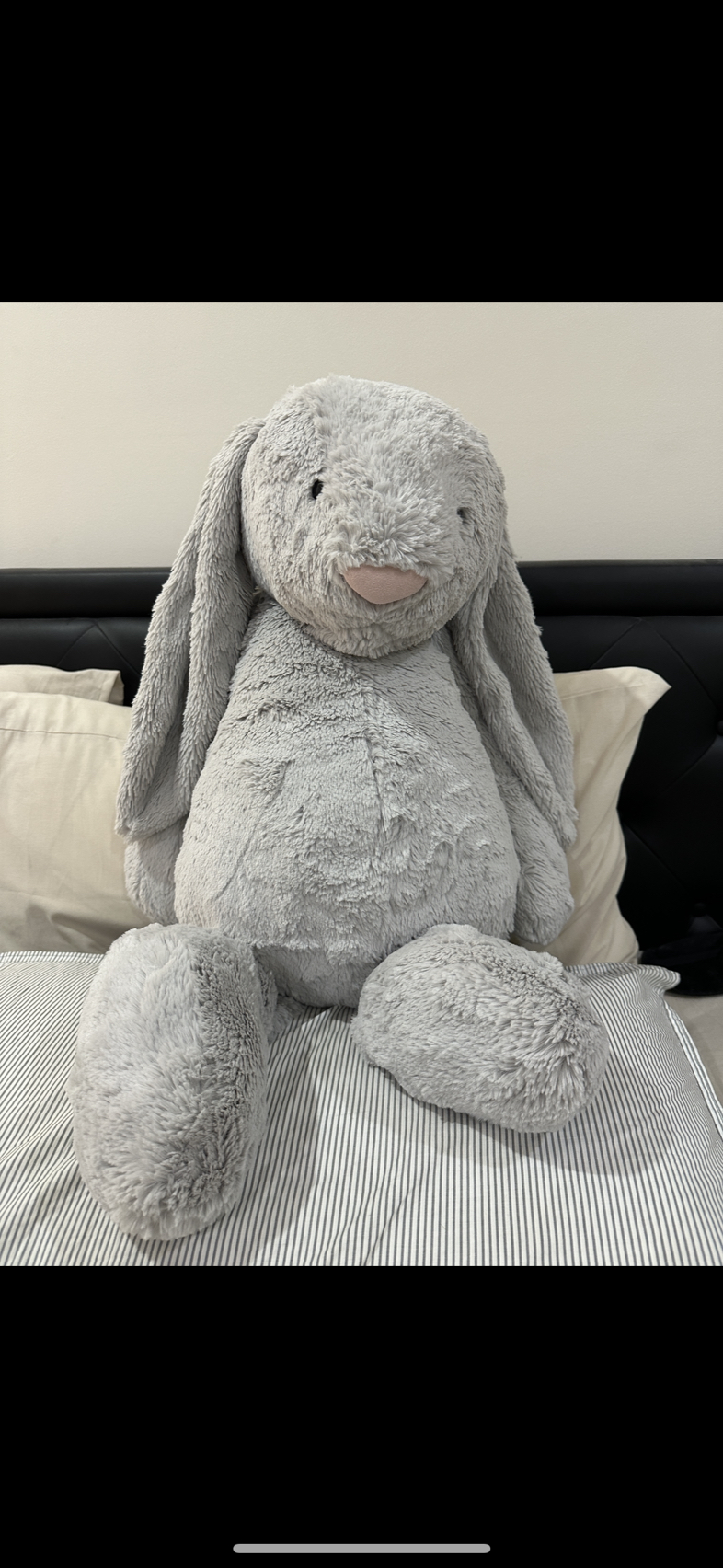 今日珀斯便宜转让全新大型Jellycat 便宜转让全新大型Jellycat