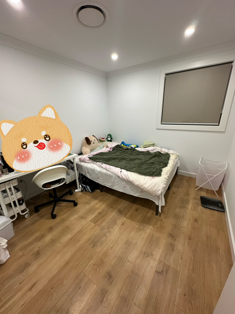 今日墨尔本Burwood 新4房townhouse找2女室友 Burwood 新4房townhouse找2女室友
