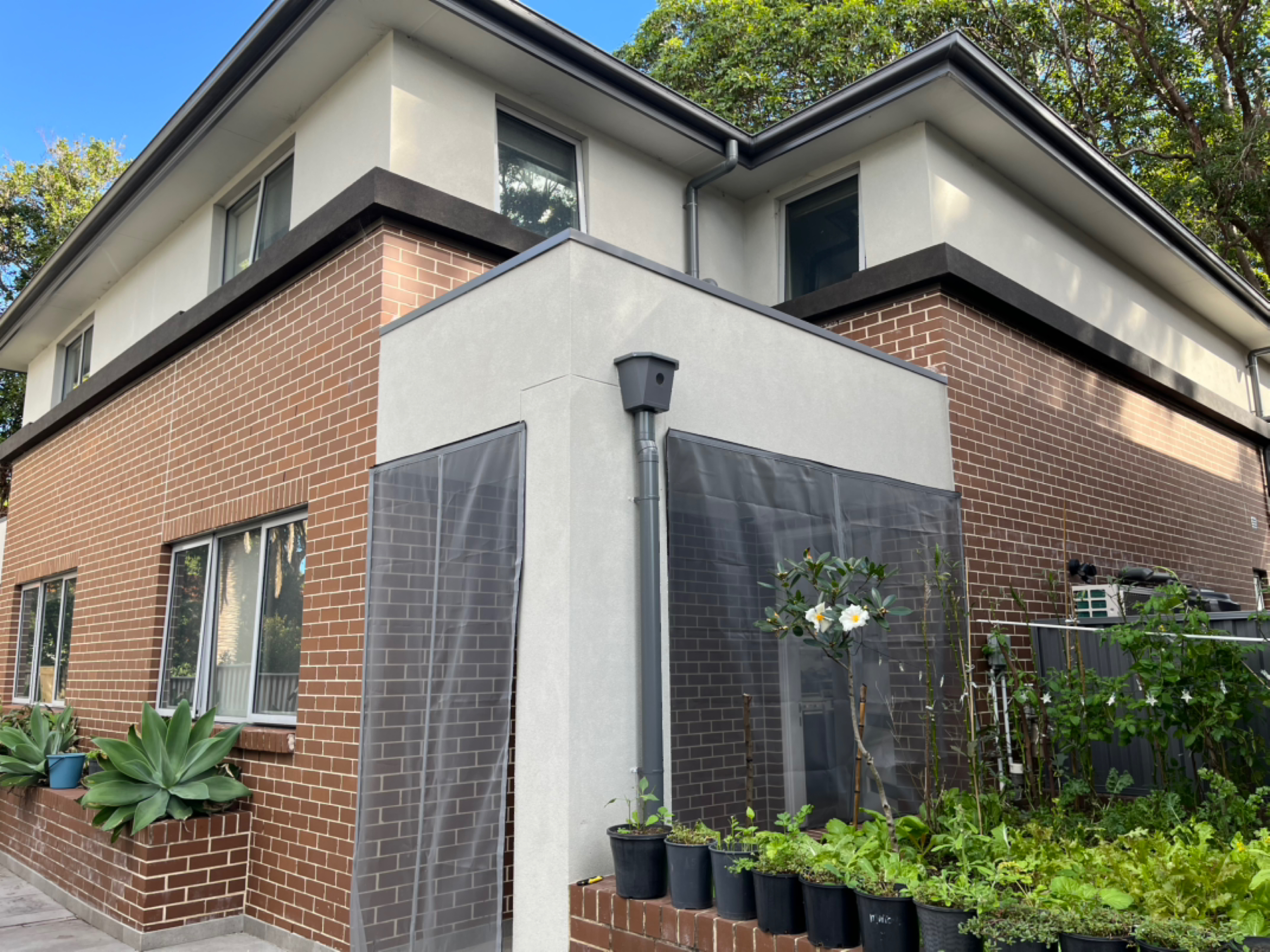 今日墨尔本Burwood 新4房townhouse找2女室友 Burwood 新4房townhouse找2女室友