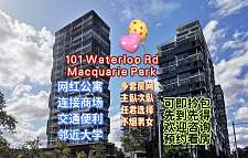 Macquarie Park 周日开放多套房子主卧次卧450起包单不烟男生欢迎咨询