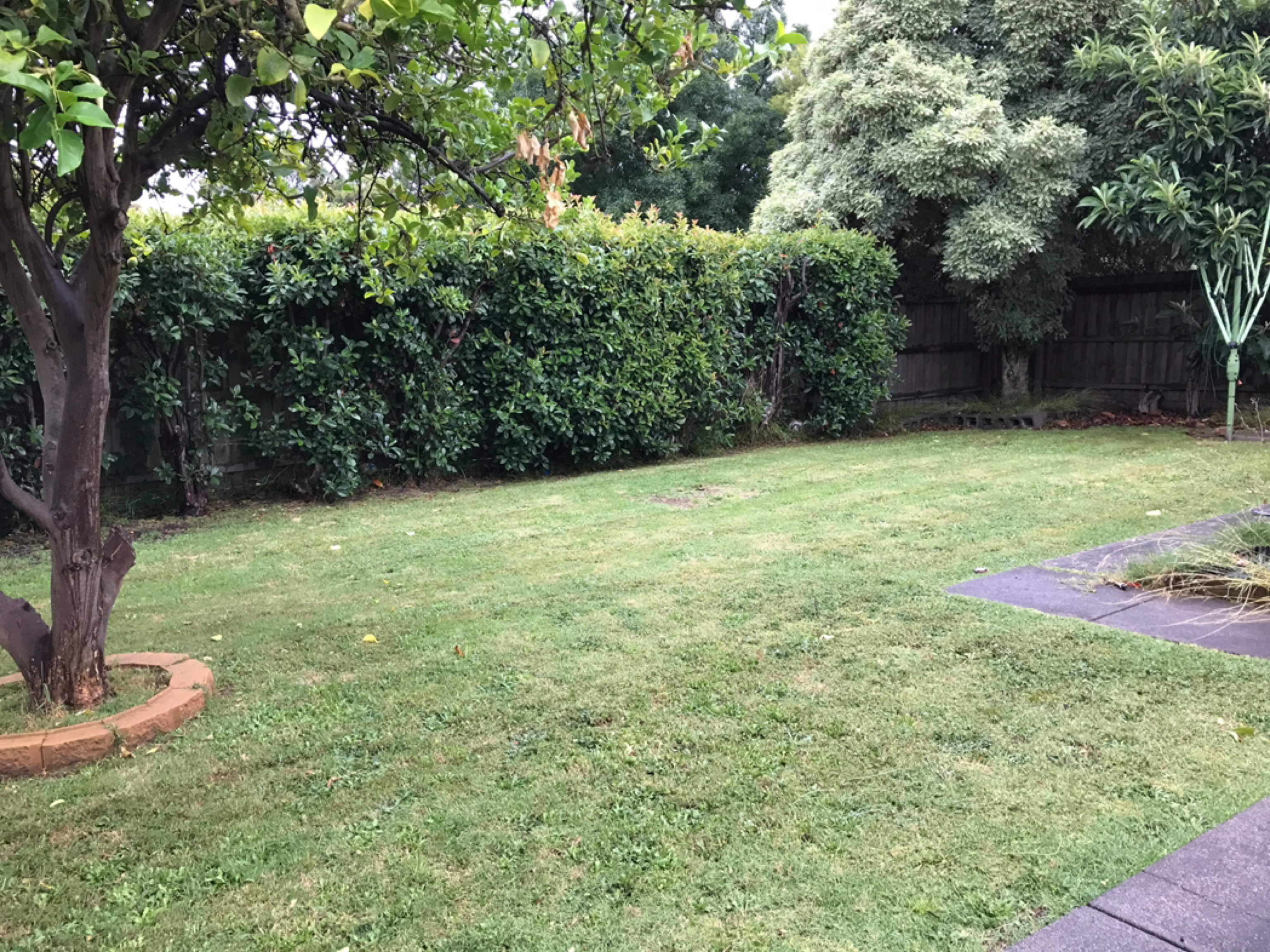 今日墨尔本Wantirna South 2 bedroom unit in Wantirna South 2 bedroom unit in