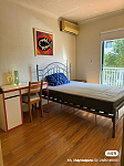 Burwood  品質Townhouse 一房招租3分鐘火車唐人街2购物中心