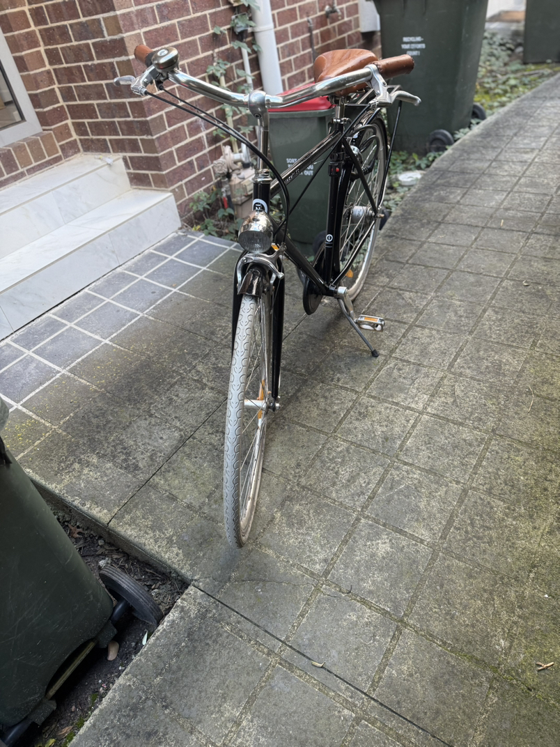 今日墨尔本经典复古自行车 经典复古自行车