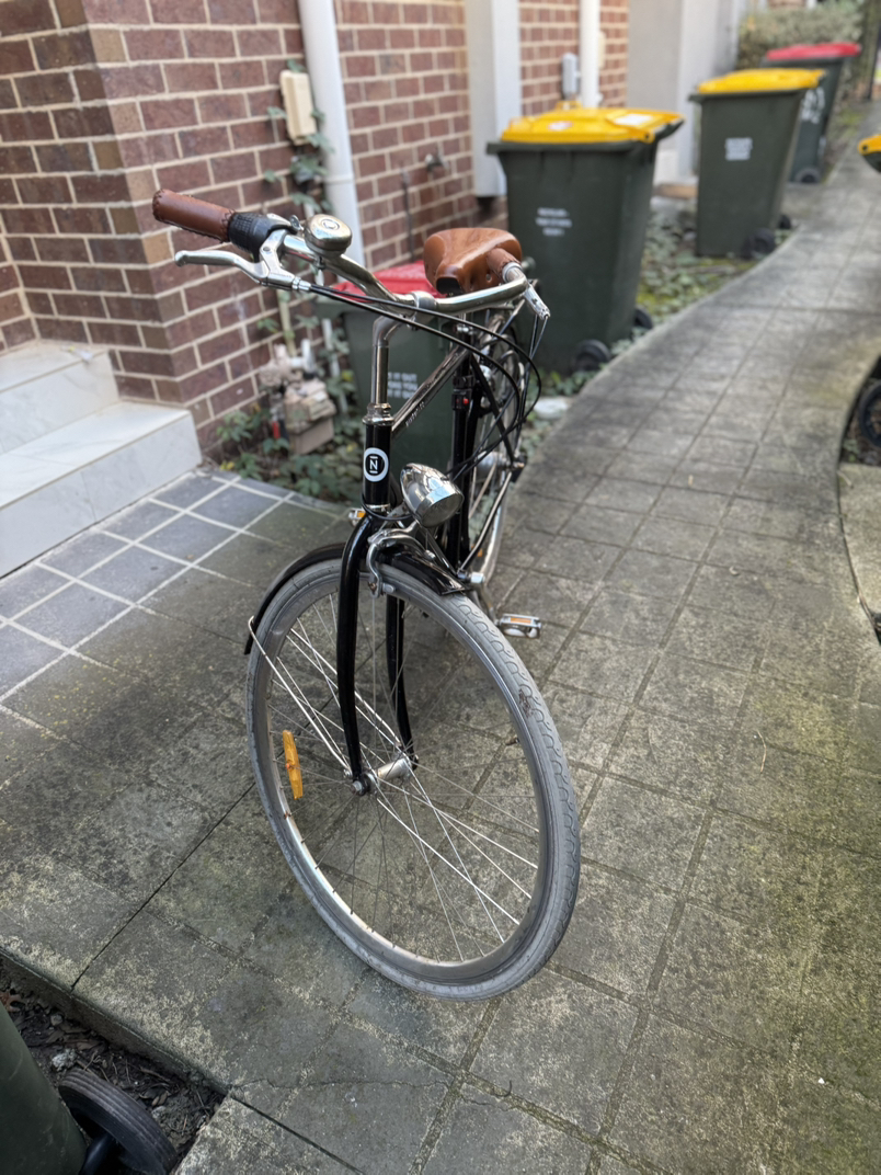 今日墨尔本经典复古自行车 经典复古自行车