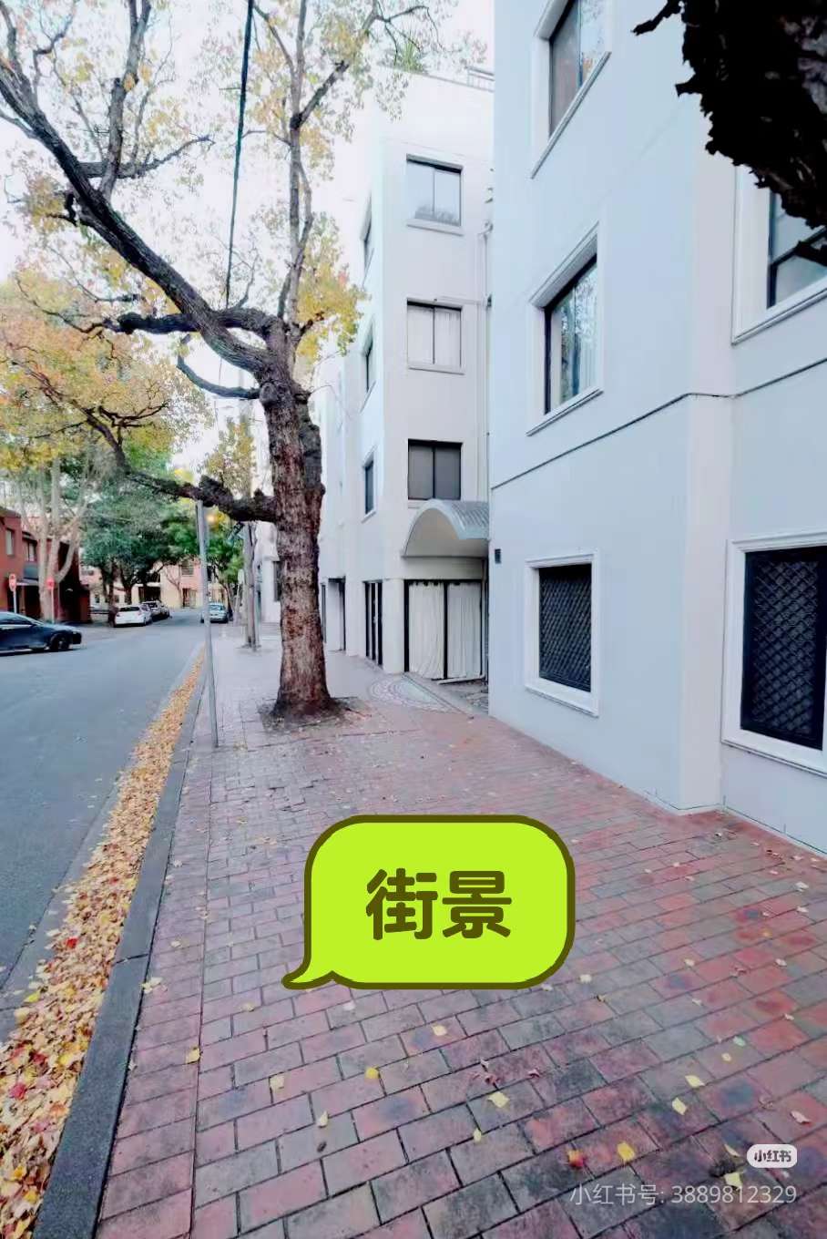 今日珀斯Chippendale 悉大 UTS旁独立套房快租 Chippendale 悉大 UTS旁独立套房快租