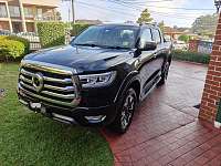 Great Wall 2023年 20T 自动