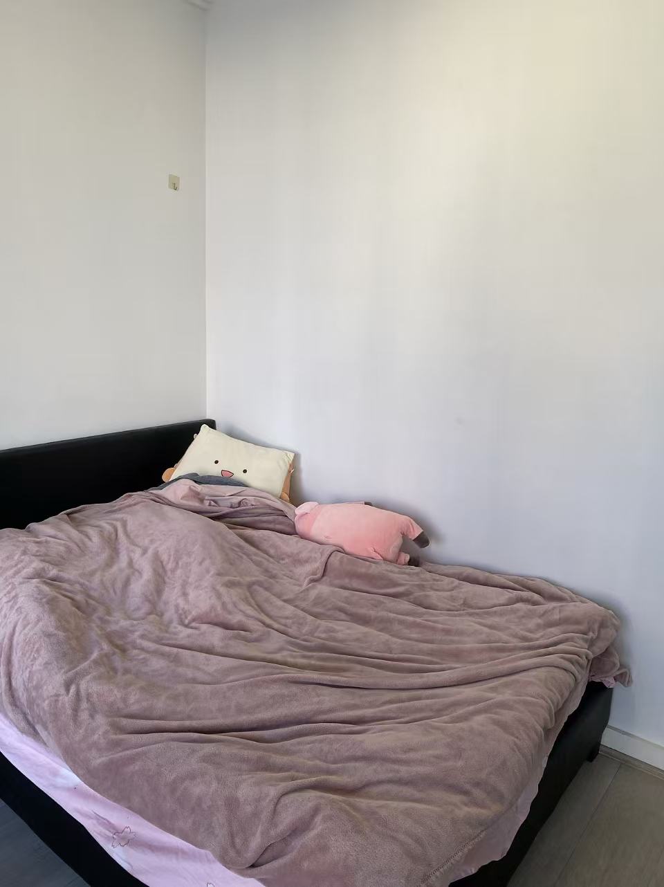 今日悉尼Turrella Single Room 出租 Turrella Single Room 出租