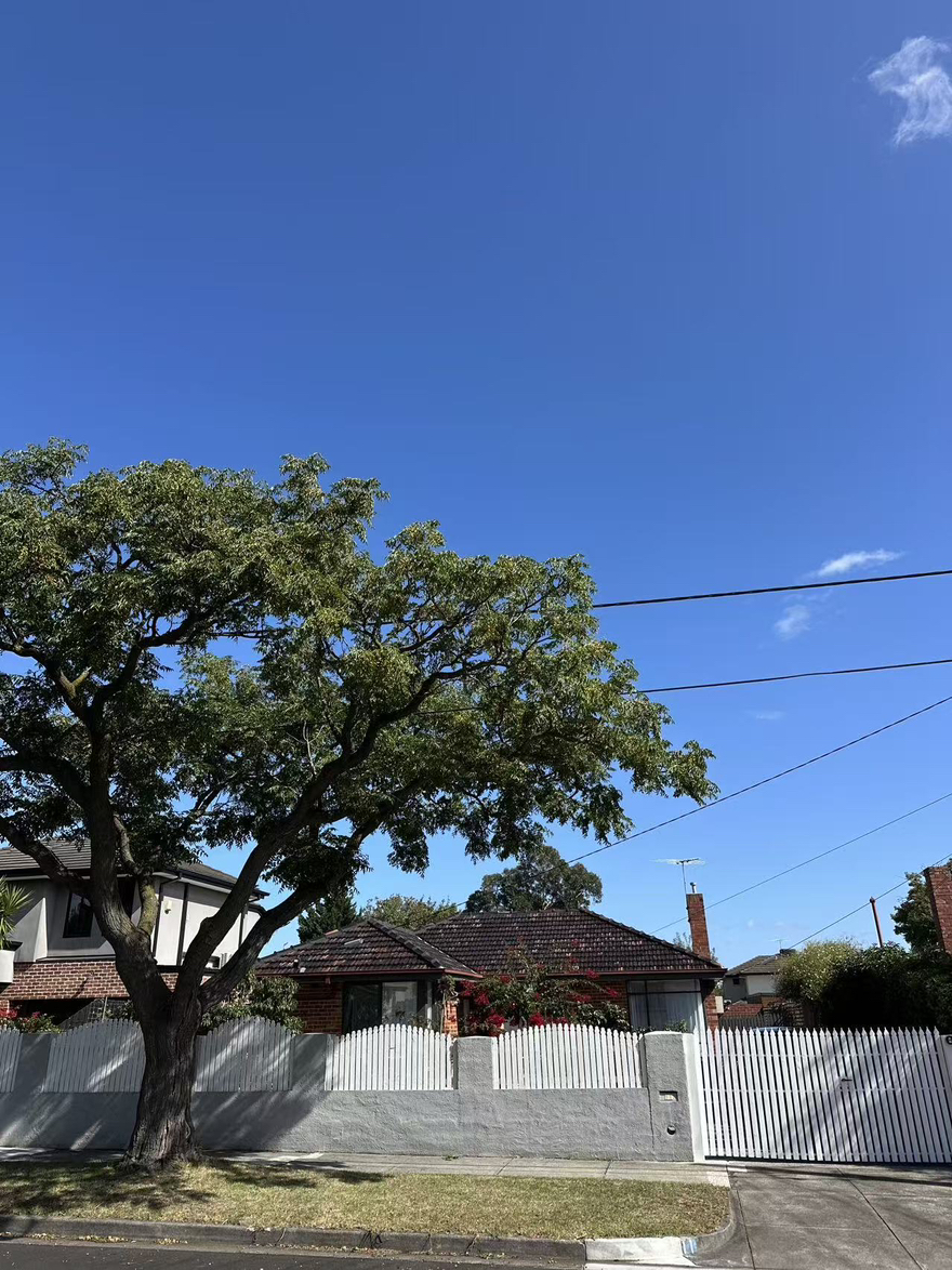 今日堪培拉Bentleigh 墨尔本的东南富人区房子豪 装260 元 一 周卫浴间仅1人用 Bentleigh 墨尔本的东南富人区房子豪 装260 元 一 周卫浴间仅1人用