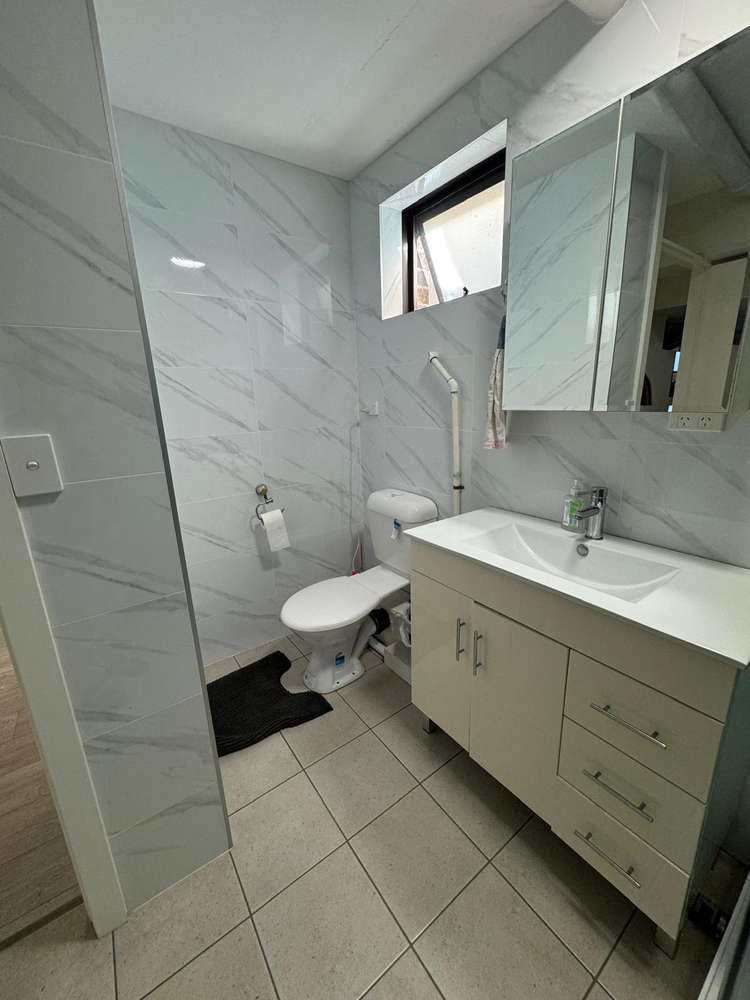 今日纽卡素Chatswood 车士活中心地带全新 granny flat 出租 Chatswood 车士活中心地带全新 granny flat 出租