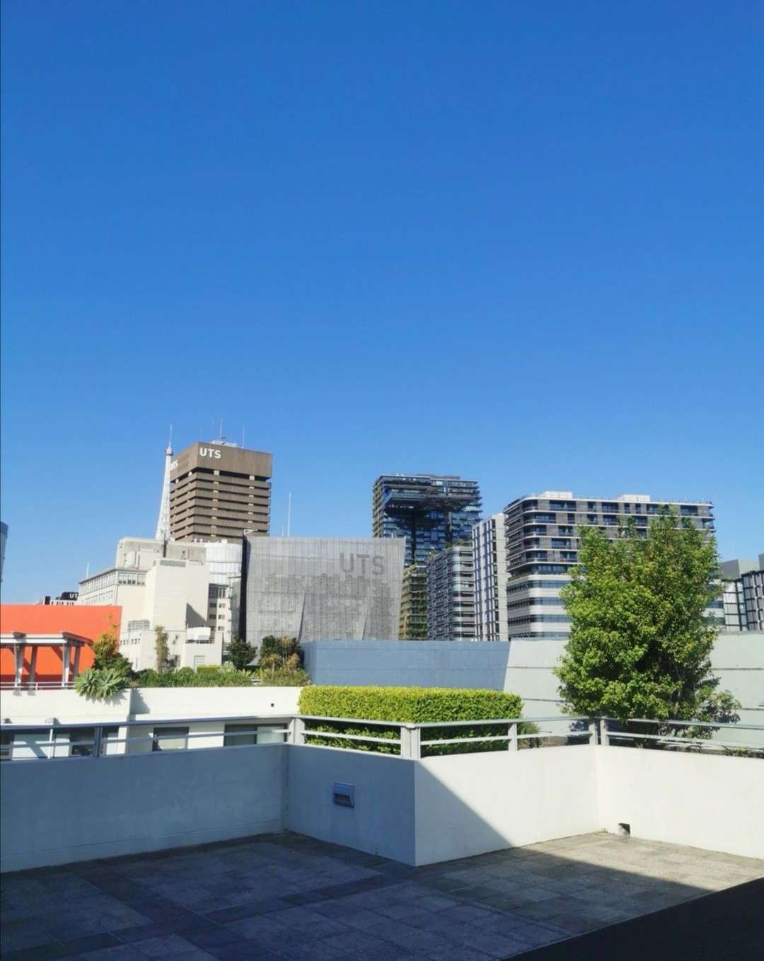 今日纽卡素Ultimo ultimo床位250每周近city唐人街USYD UTS Ultimo ultimo床位250每周近city唐人街USYD UTS