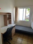 Burwood  大窗户单人房190  即可入住