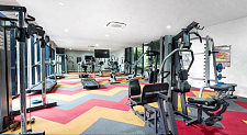 Zetland  2b2b 带健身房泳池家具Victoria park
