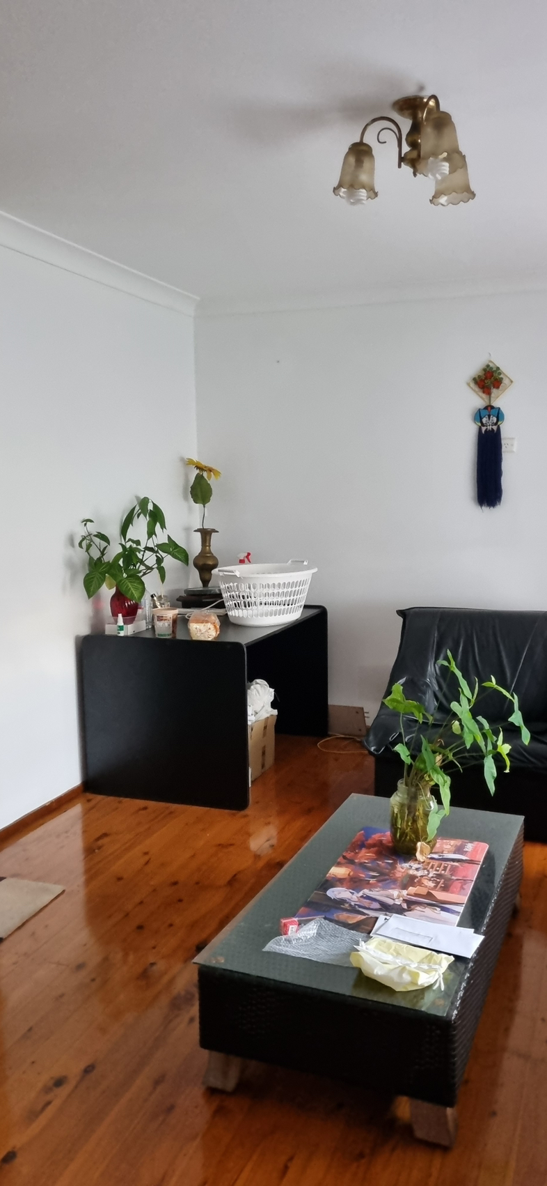 今日悉尼Penrith 房屋招租 Penrith 房屋招租