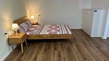 Burwood 悉尼 精致3b2b主卧 500 包水电网家具