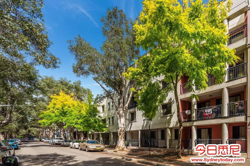 今日悉尼Chippendale 2间单卧出租 极佳位置 近悉大UTS及一切生活设施 Chippendale 2间单卧出租 极佳位置 近悉大UTS及一切生活设施