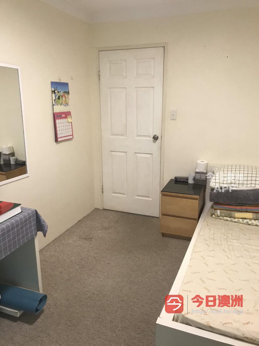今日悉尼Marsfield 麦考瑞大学marsfield出租全包 Marsfield 麦考瑞大学marsfield出租全包