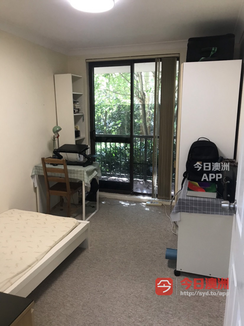 今日悉尼Marsfield 麦考瑞大学marsfield出租全包 Marsfield 麦考瑞大学marsfield出租全包