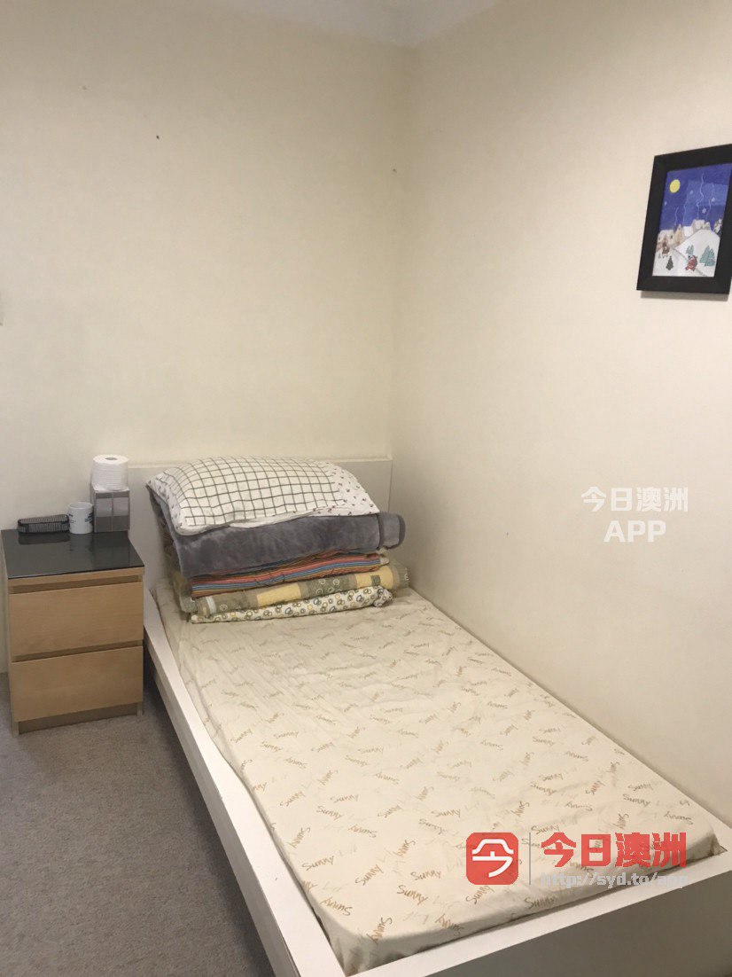 今日悉尼Marsfield 麦考瑞大学marsfield出租全包 Marsfield 麦考瑞大学marsfield出租全包