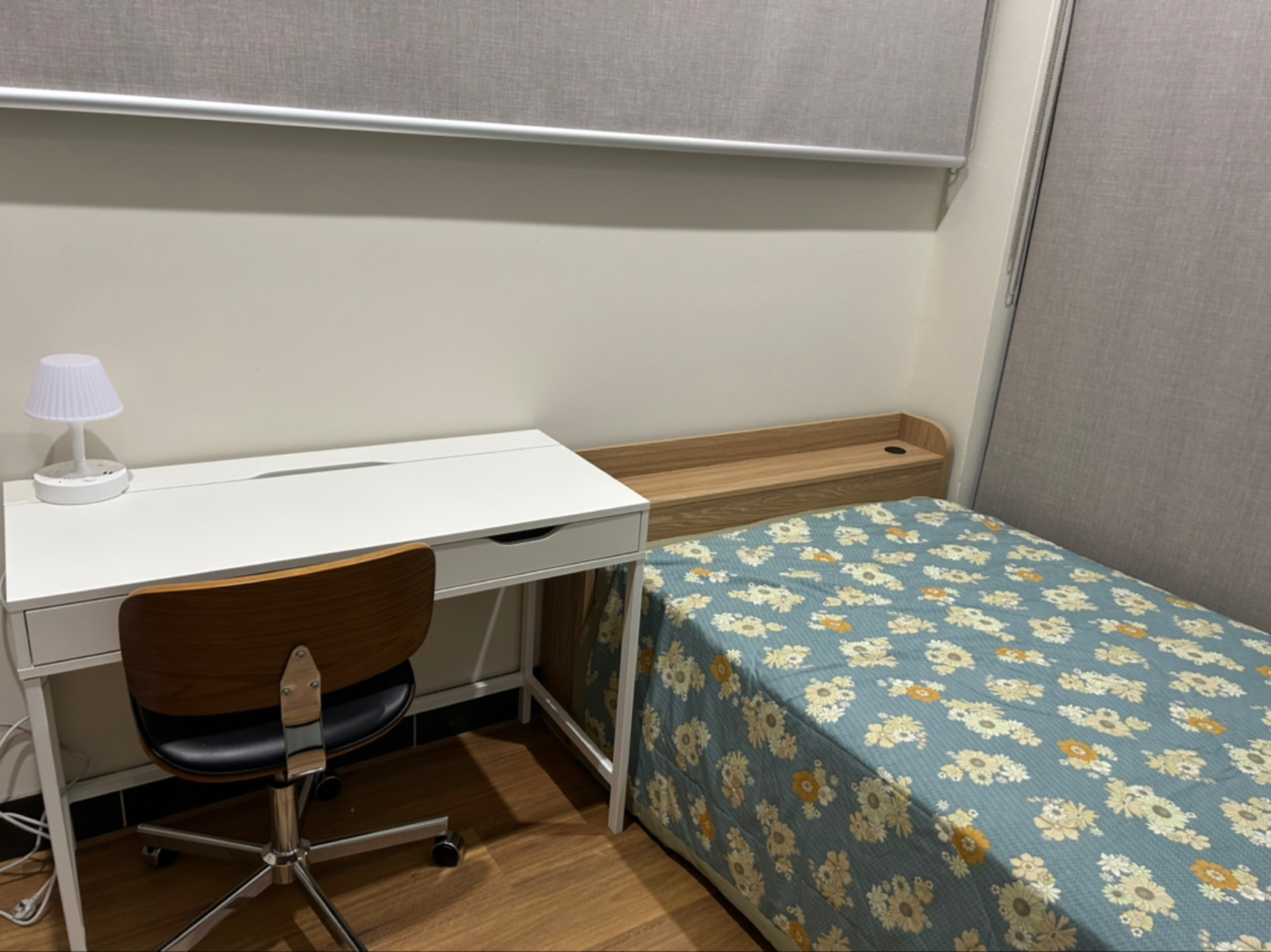 今日墨尔本Ashfield 房子出租 Ashfield 房子出租