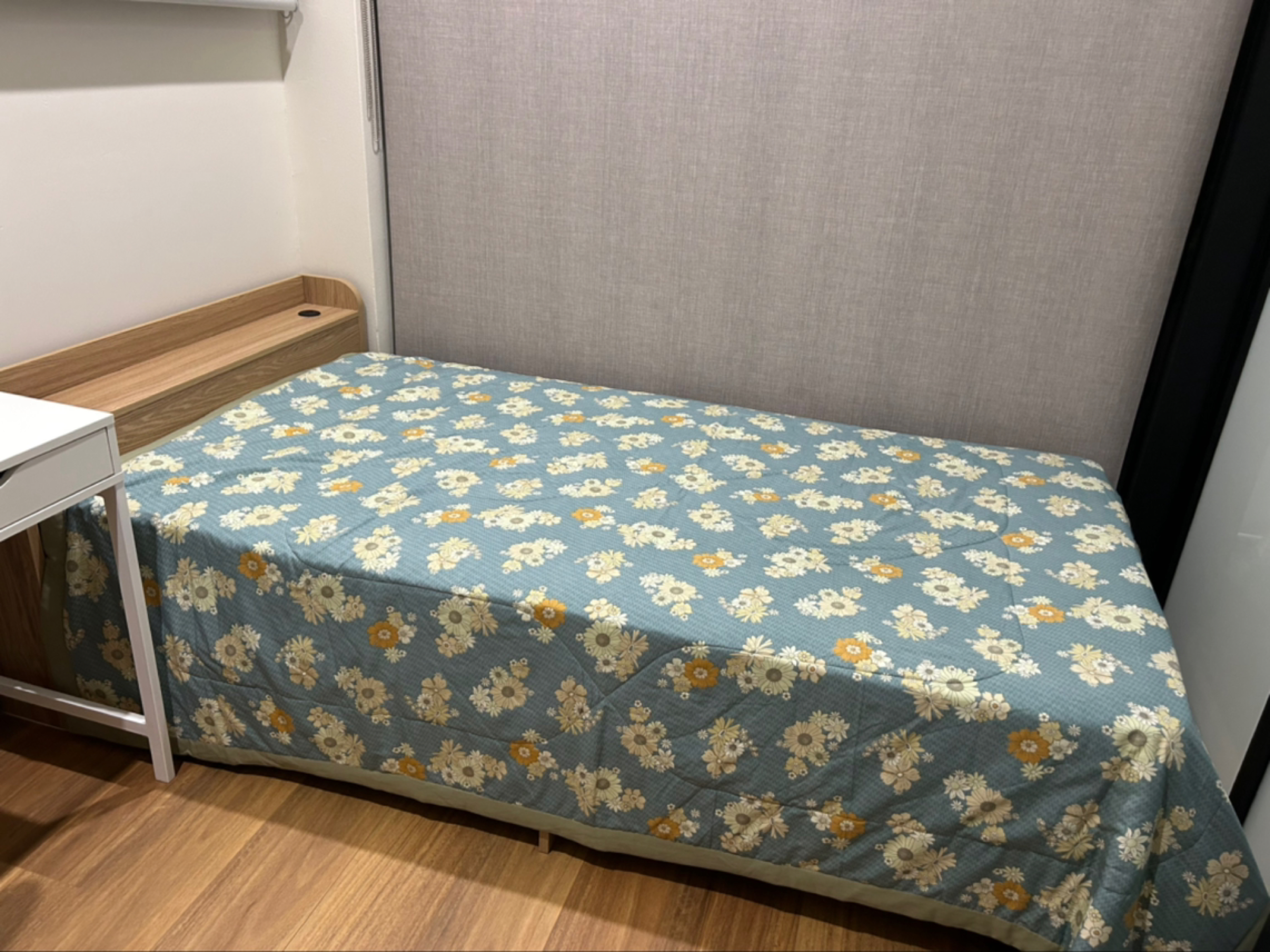 今日墨尔本Ashfield 房子出租 Ashfield 房子出租