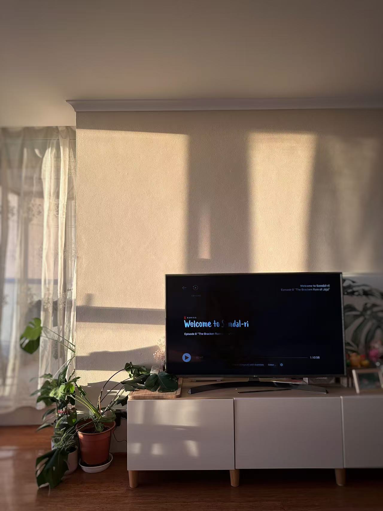 今日悉尼Sydney 市中心高层一房公寓出租 Sydney 市中心高层一房公寓出租