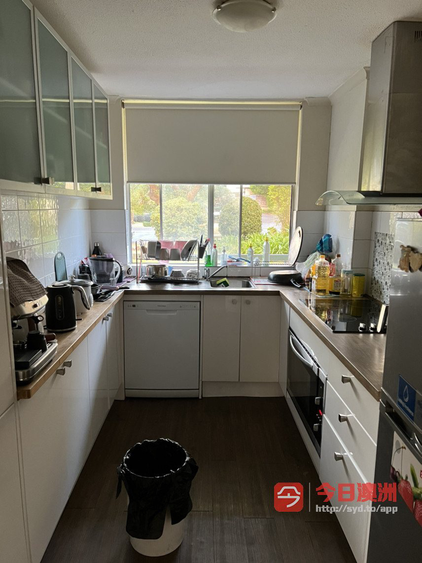 今日悉尼Chatswood 近火车站单间出租 Chatswood 近火车站单间出租