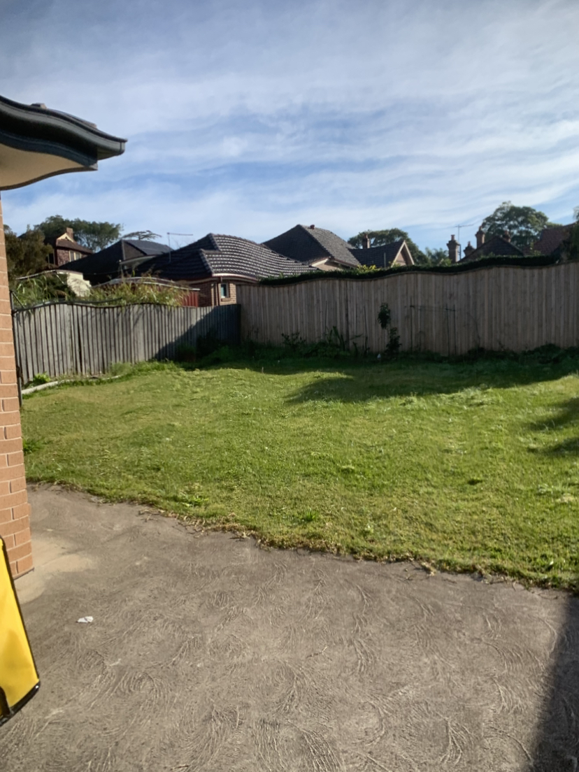 今日悉尼Burwood 厅房出租 Burwood 厅房出租