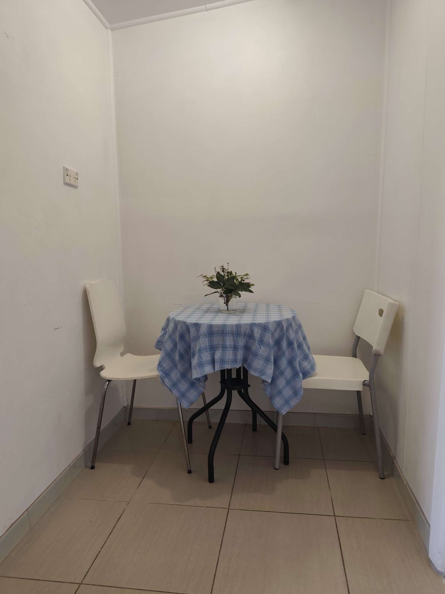 今日悉尼Hurstville 后花园独立出入独立厨房卫浴套房出租 Hurstville 后花园独立出入独立厨房卫浴套房出租