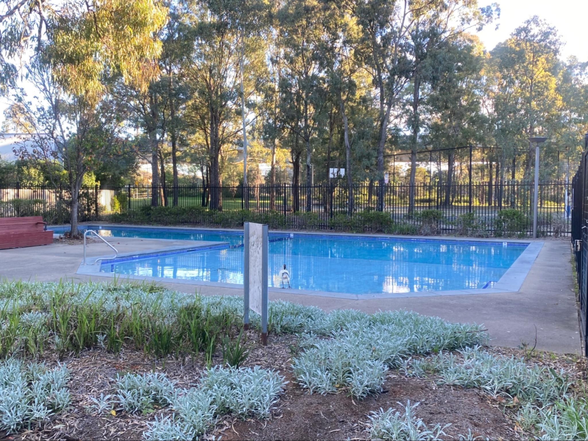 今日悉尼Rouse Hill House房间分租 Rouse Hill House房间分租