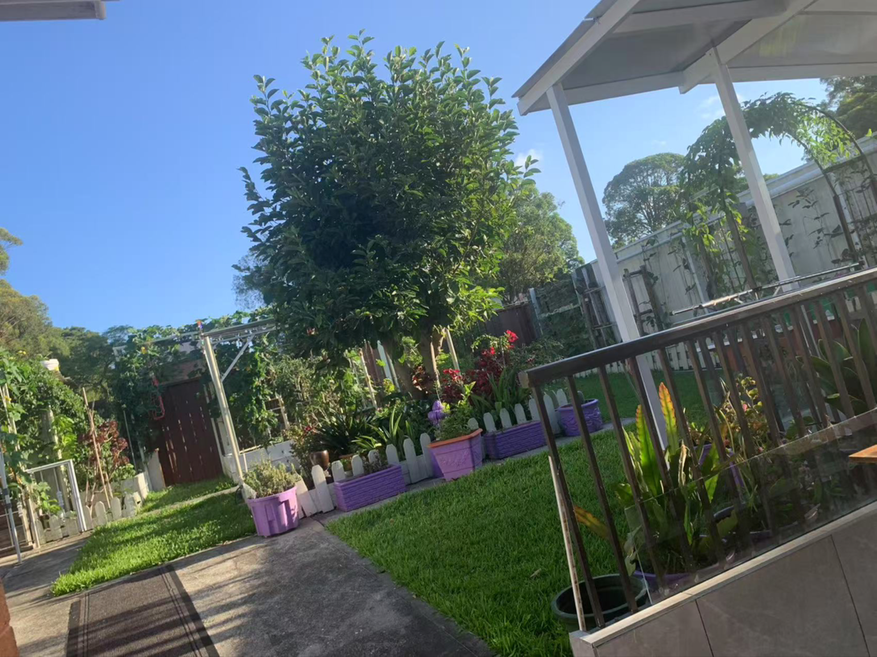 今日悉尼Kingsgrove 宽敞明亮距离火车站8分钟走路距离granny studio出租 Kingsgrove 宽敞明亮距离火车站8分钟走路距离granny studio出租