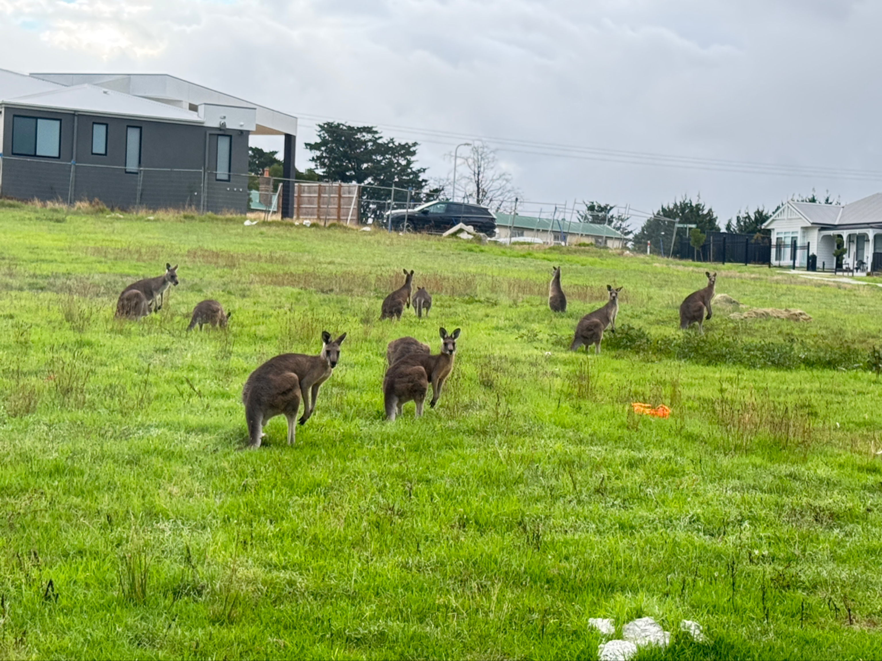 今日墨尔本Narre Warren North 8 个卧室 16 人的大别墅 Narre Warren North 8 个卧室 16 人的大别墅