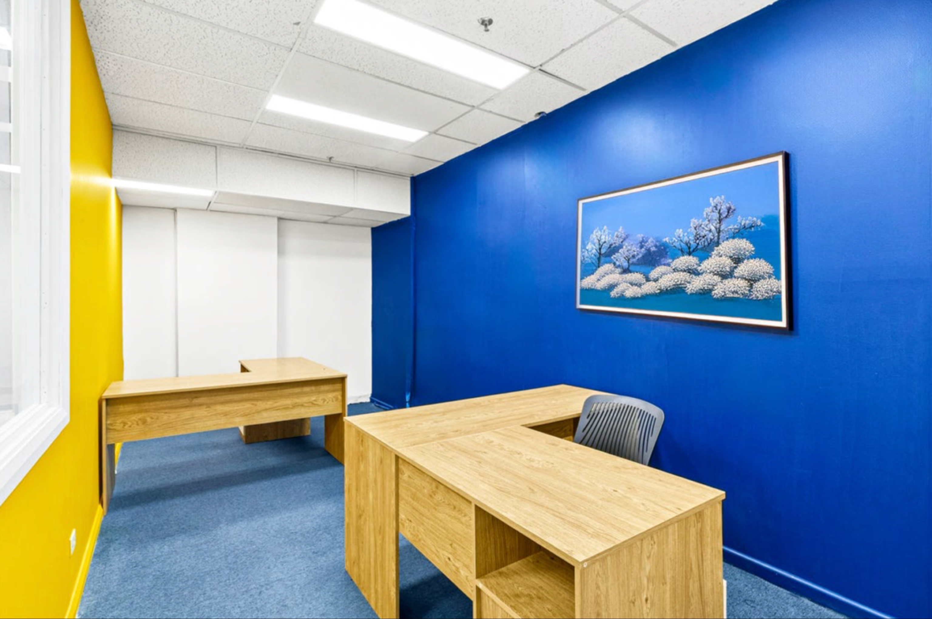 今日悉尼Sydney 悉尼CBD核心位置5折办公套房出租 Sydney 悉尼CBD核心位置5折办公套房出租